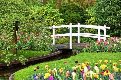 Private Keukenhof, Gardens, Windmills, cheese tour from Amsterdam - Keukenhof Gardens: 7 Million Blooms With About 2 Hours to Explore