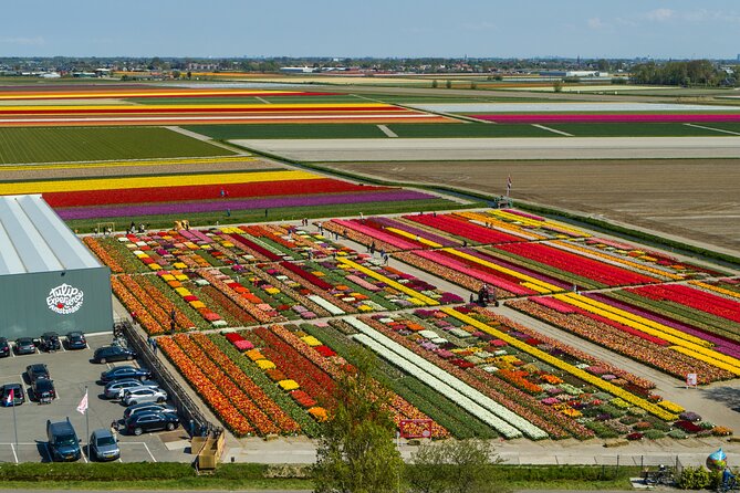 Private Keukenhof, Gardens, Windmills, cheese tour from Amsterdam - Who This Tour Fits Best (and Who Might Want Another Style)