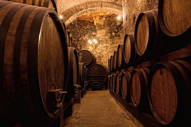 Private Porto Half Day Tour: Port Wine Cellars and Cheese Tasting - Cheese tasting in Porto: pairing the local way, without the fuss