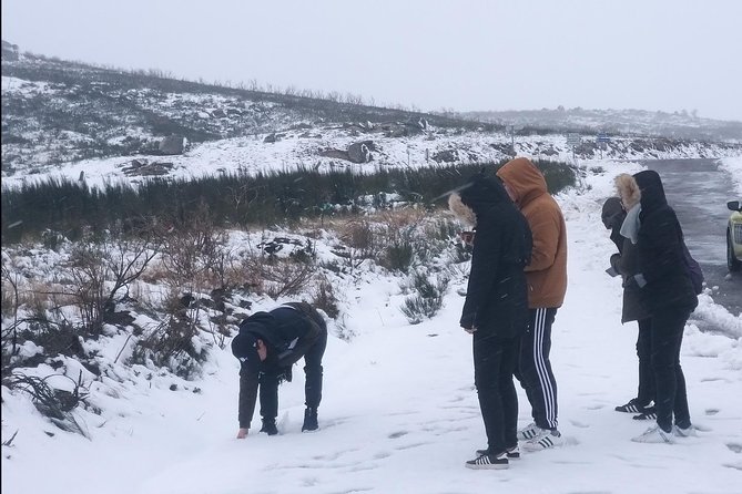 Private Serra da Estrela Gastronomy & Snow Tour from Porto - Pinhancos and hand-made Serra cheese heritage