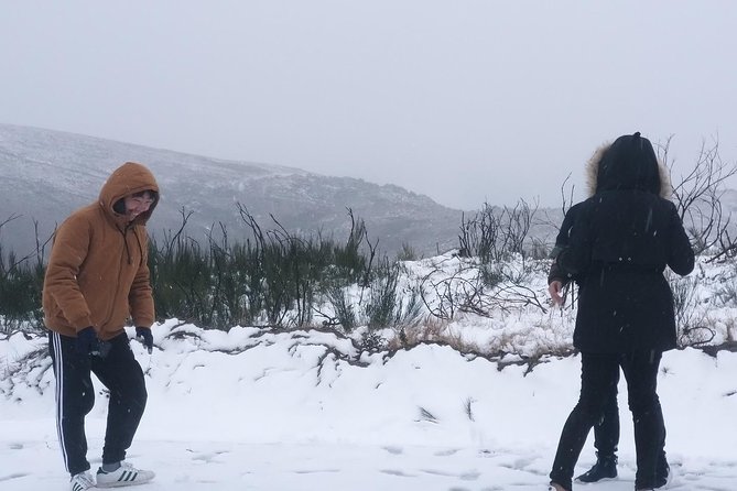 Private Serra da Estrela Gastronomy & Snow Tour from Porto - Sabugueiro at 1,200 meters: cheese, river beaches, and the mountain dog