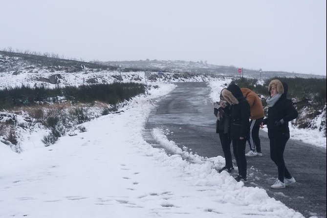 Private Serra da Estrela Gastronomy & Snow Tour from Porto - Price and value: what $314.82 buys (and what doesn’t)