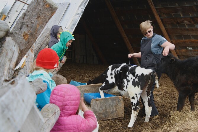 Private Tour at Historic Alaska Dairy Farm - Sun Fire Ridge: a small private tour with real farm rhythm