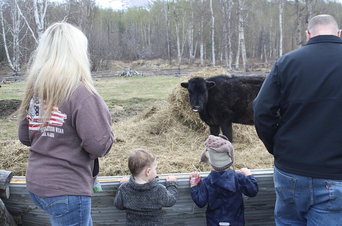 Private Tour at Historic Alaska Dairy Farm - How the tour pacing works: 1 to 2 hours, no marathon required