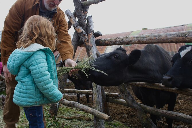Private Tour at Historic Alaska Dairy Farm - The milking demo: where farm life becomes understandable