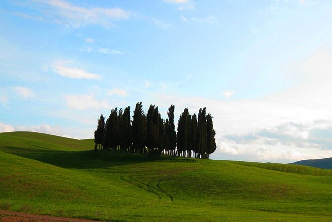 Private Tour: Pienza and Montalcino Organic Cheese and Wine Tour - Pienza at Piazza Pio II: Renaissance geometry with breathing room