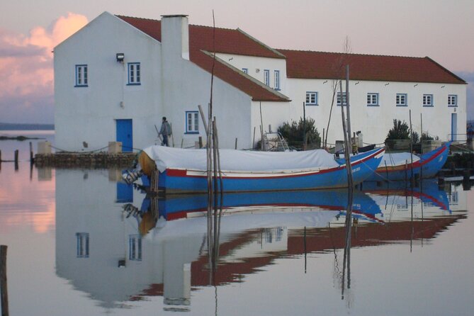 Private Tour to Arrabida with Wine and Cheese Tasting at the Mourisca Tide Mill - Mercado do Livramento: Tiles, Fish, and the Real Soundtrack of Setúbal