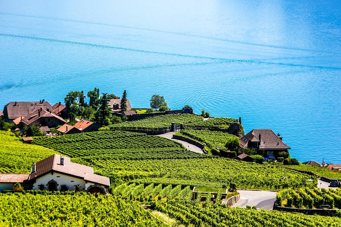 Private Tour to Gruyères, Chocolate & Cheese Factory from Geneva - Gruyères village time: medieval streets plus unexpected museums