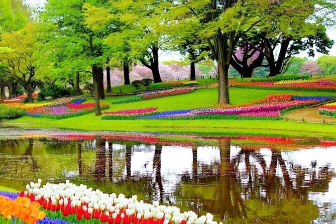 Private Tour to Tulips, Keukenhof, Windmills & Cheese Farm - Tulip Experience Amsterdam: fields, history, and picking your own tulips