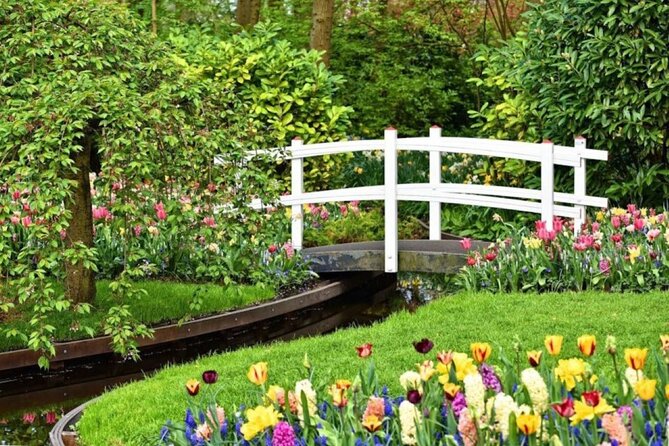Private Tour to Tulips, Keukenhof, Windmills & Cheese Farm - Jacobs Hoeve Cheese Farm by Henri Willig: Gouda making and tasting