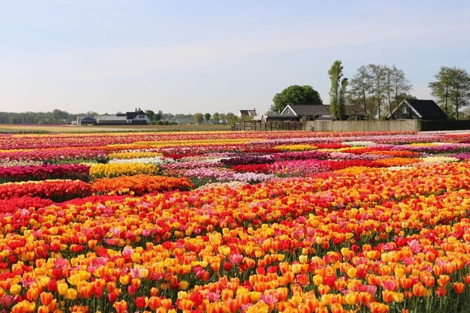 Private Tour to Tulips, Keukenhof, Windmills & Cheese Farm - Keukenhof: the big flower park and how to use your time
