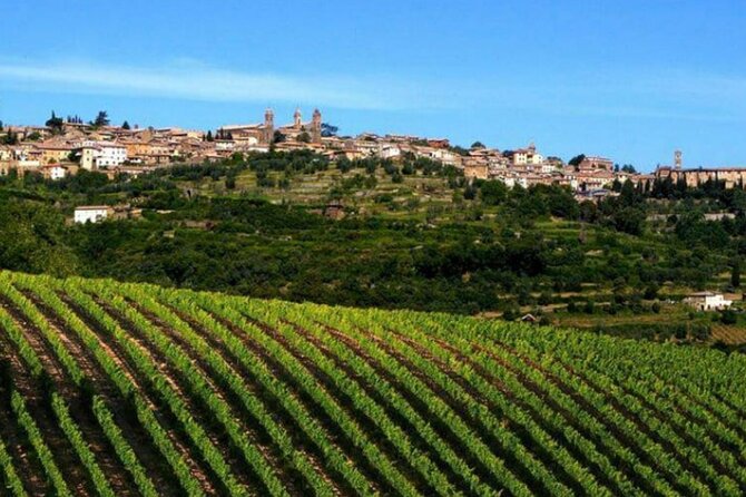 Private tour Wine and cheese a perfect combinations val 'Orcia - A Full Day of Pecorino, Brunello, and Val d’Orcia Views