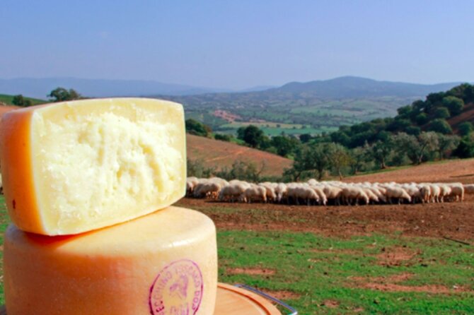 Private tour Wine and cheese a perfect combinations val 'Orcia - Morning Pickup From Arezzo: Start Time and What It Changes