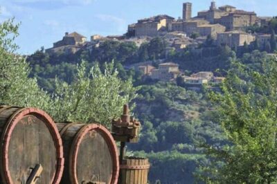 Private tour Wine and cheese a perfect combinations val 'Orcia - Montepulciano Winery: Bruschetta Pairings and the Underground Cellar