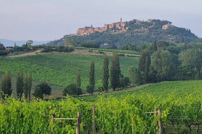 Private tour Wine and cheese a perfect combinations val 'Orcia - Podere Il Casale Farm Tour: How Pecorino and Ricotta Are Made