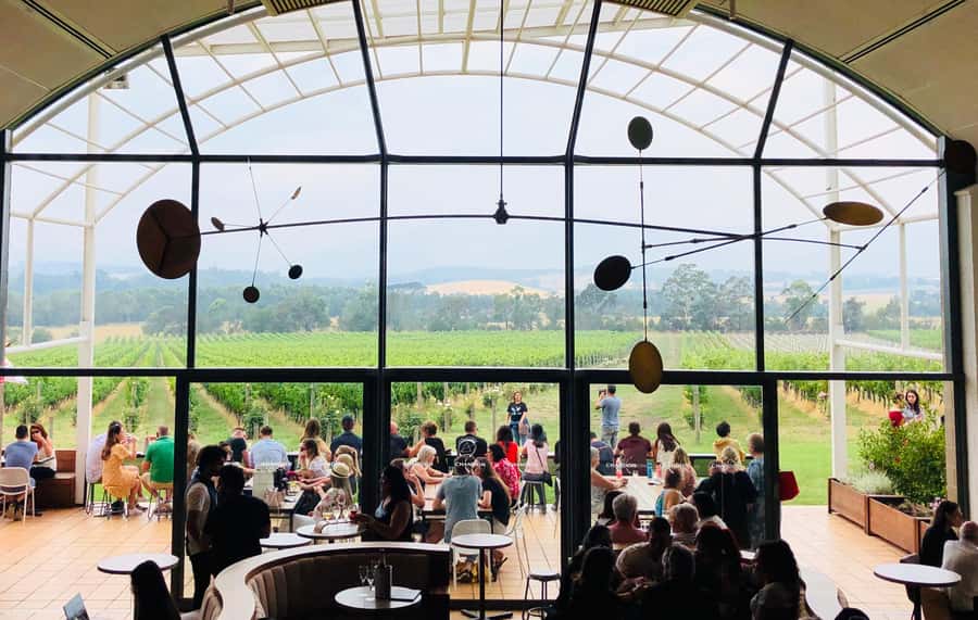 Private Tour: Yarra Valley Wine, Cheese, Gin & Chocolatrie - After Lunch: More Wine, Healesville Wildlife, Gin/Whiskey, or Chocolate