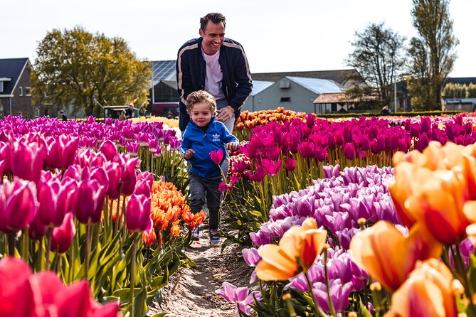 Private Tulip Fields, Windmills and Cheese Tour from Amsterdam - Jacobs Hoeve Cheese Farm by Henri Willig: Gouda, cows, and tasting