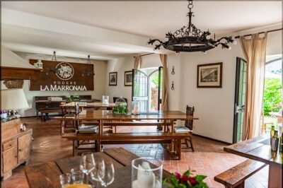 Private Wine, Evo oil & Cheese Tasting - Vineyard and olive grove walk: where the flavors start