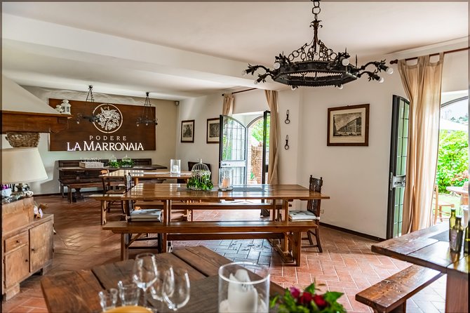 Private Wine, Evo oil & Cheese Tasting - Vineyard and olive grove walk: where the flavors start