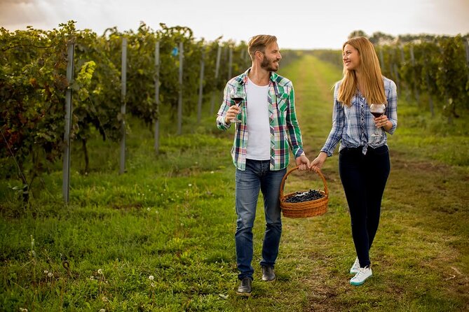 Private Wine Tour in Niagara-on-the-Lake w/ cheese & charcuterie - Inniskillin and Between the Lines: Tastings That Set the Tone