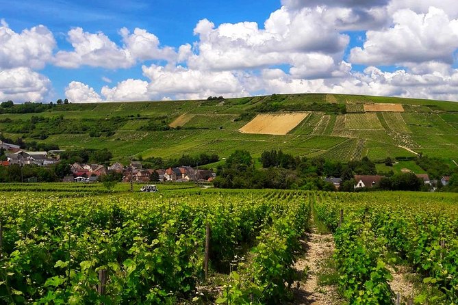 Private wine tour to Sancerre vineyards from Paris with Sommelier - Price and Value: What $963.29 Per Person Really Buys You