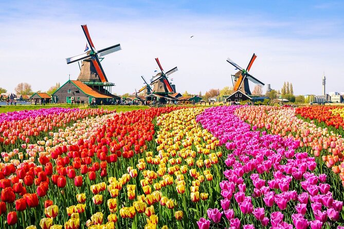Private Zaanse Schans & Volendam Tour: Windmills, Cheese & Clogs - Volendam harbor time: a fishing village stroll with real food options