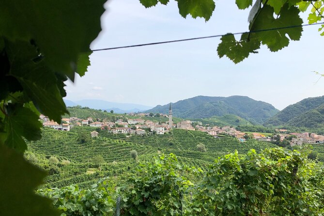 Prosecco Hills Wine and Cheese Gourmet Discovery - Eight Tastings, Two Producers: Why This Works as a Food Tour