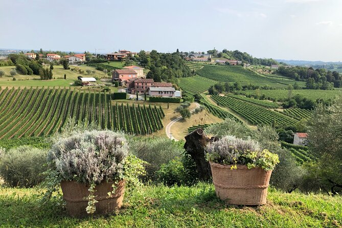 Prosecco Hills Wine and Cheese Gourmet Discovery - Who This Tour Suits Best (And Who Might Skip It)