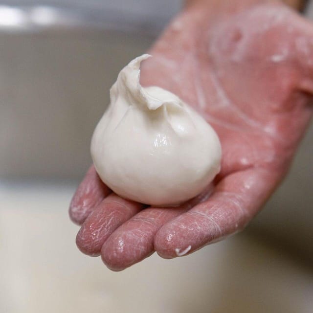Puglia: Masseria Seppunisi Tour, Cheese, Burrata Tasting - Key highlights you’ll feel right away