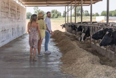 Puglia: Masseria Seppunisi Tour, Cheese, Burrata Tasting - Cowshed to dairy: seeing daily work up close