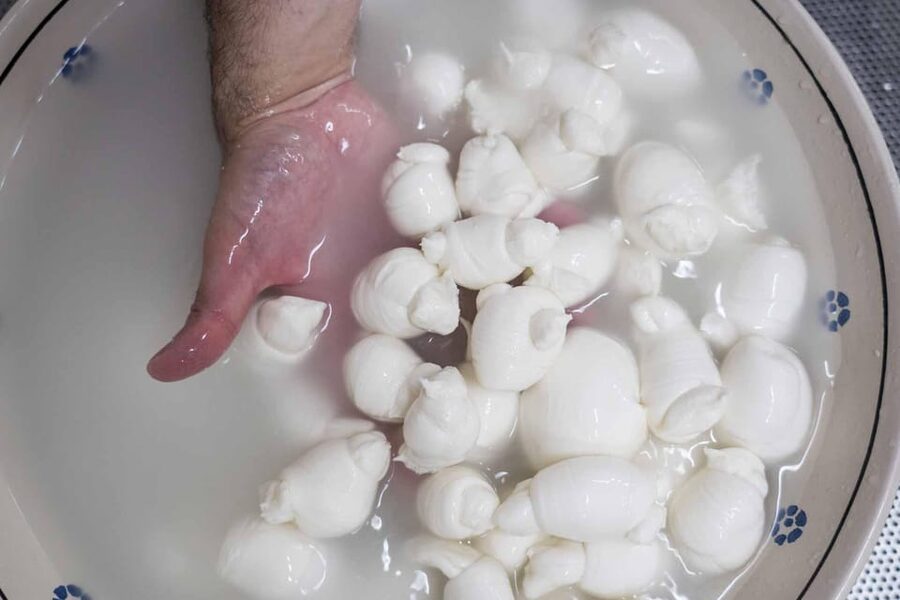Puglia: Masseria Seppunisi Tour, Cheese, Burrata Tasting - The aperitif tasting: how your plate becomes a guided lesson