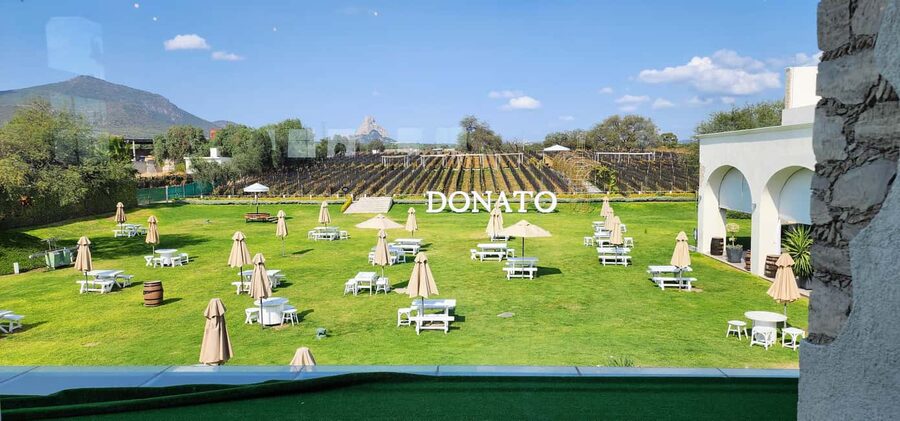 Querétaro: Bernal & Tequisquiapan Trip with Wine & Cheese - Who Should Book This Trip (and Who Should Skip It)
