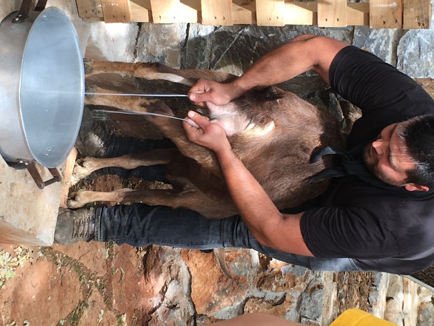 Rethymno 4x4 Safari: Tastes & Farm Experience - Key things I’d plan around
