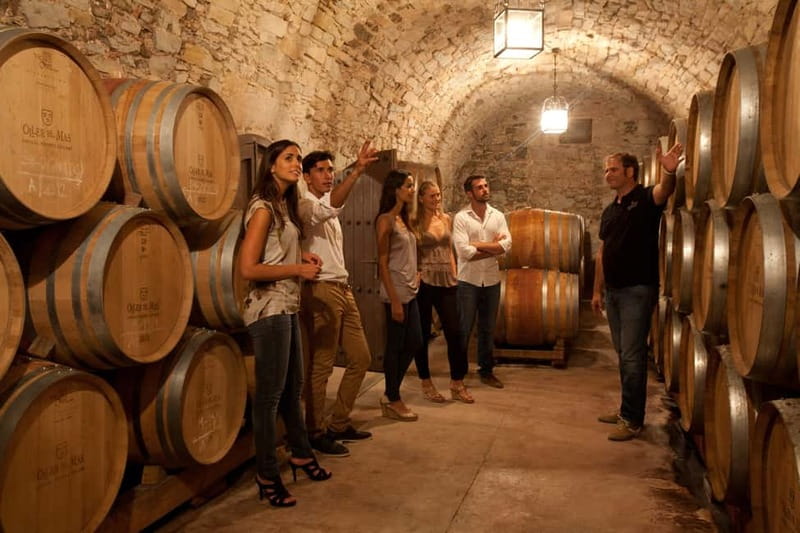 Rías Baixas Albariño Experience: Winery Visit & Cheese - O Rosal Valley Albariño: the experience you’re really paying for