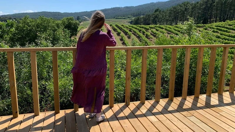 Rías Baixas Albariño Experience: Winery Visit & Cheese - Vineyard walk at the start: seeing the source of Albariño
