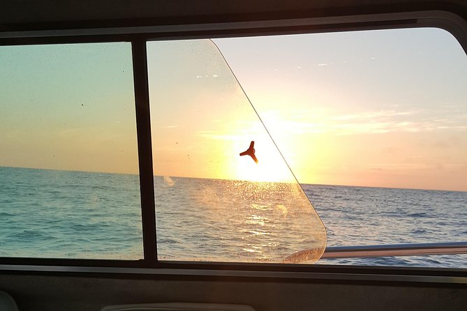 Romantic Wine and Cheese Boat Tower Cruise - BYOB wine + included cheese and crackers (and how it keeps things easy)