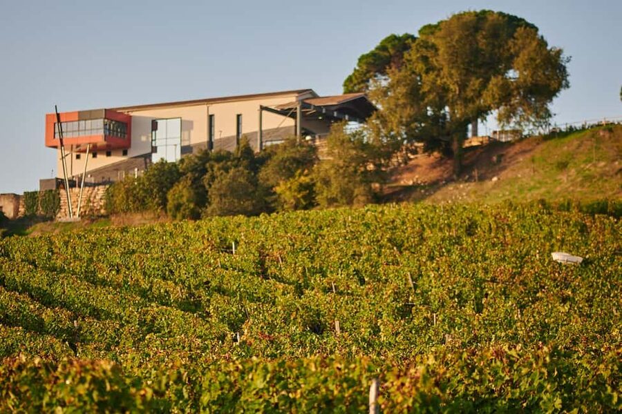 Saint-Emilion: Grand Cru Classé Cheese & Charcuterie Visit - Two Saint-Emilion Grands Crus in One 90-Minute Loop