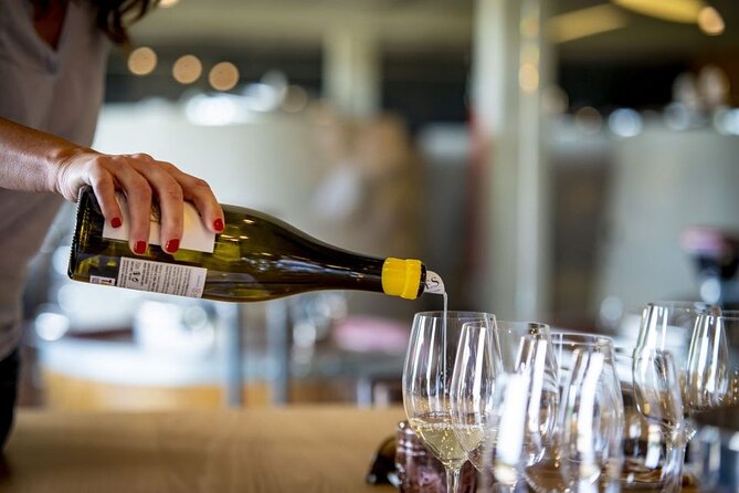 Santiago de Compostela: Cheese and Wine Tasting Experience - Why this 1-hour Galician tasting makes sense in Santiago
