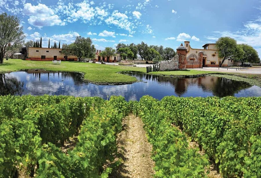 Santiago de Querétaro: Pueblos Mágicos Cheese and Wine Route - What you’re really buying for $75