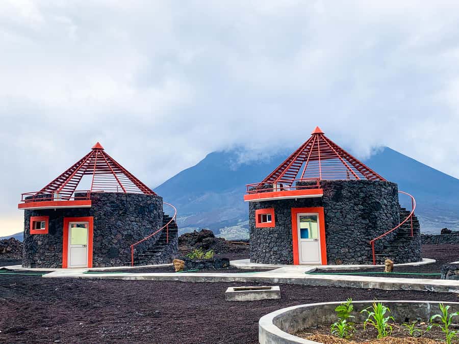 São Filipe: Fogo Volcano with Wine and Cheese Tasting - Key Things I’d Focus On