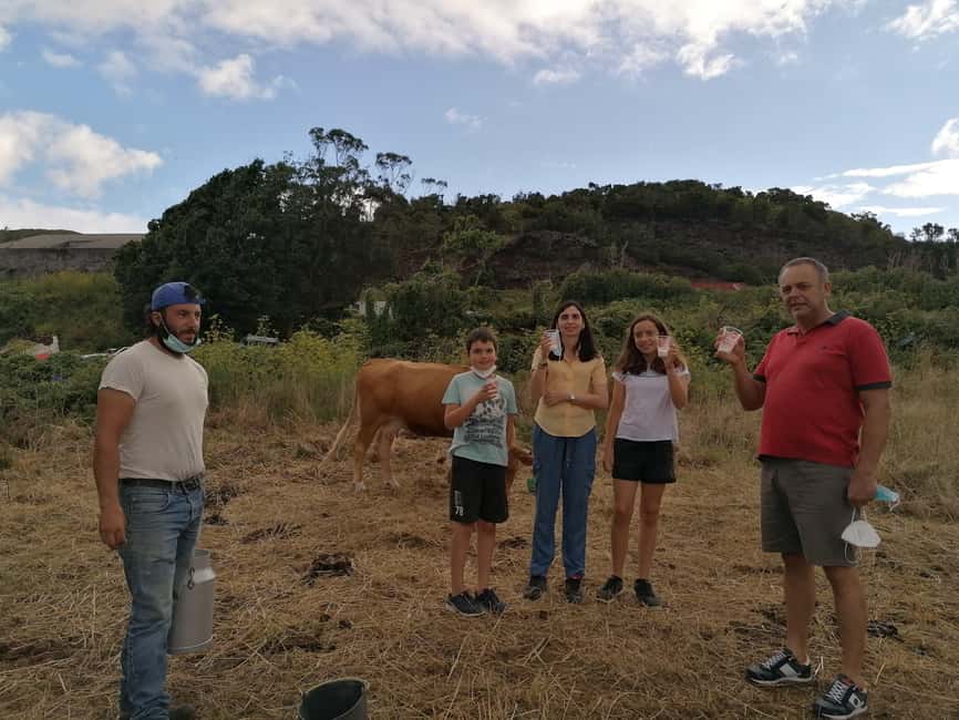 Sao Jorge Cheese Tour - Half day - Timing, Waiting, and Getting the Most From a 3–4 Hour Day