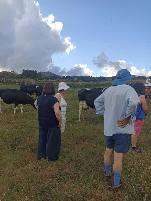 Sao Jorge Cheese Tour - Half day - Should You Book This São Jorge Cheese Tour?