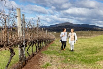 Scenic Hunter Valley Tour with Wine and Cheese Tastings - The Long Drive Out of Sydney: When It Helps and When It Doesn’t