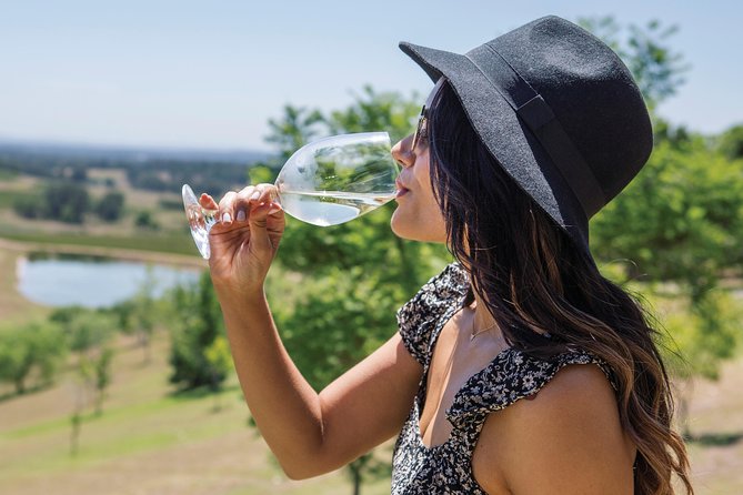 Scenic Hunter Valley Tour with Wine and Cheese Tastings - Guides Make the Day: The Real Difference Between a Tour and a Good Day