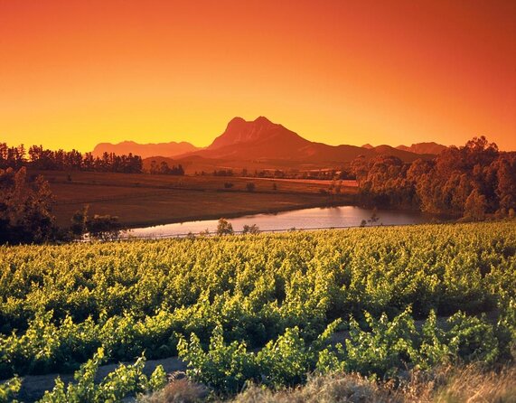 Shared Tour To The Wineries Stellenbosch Paarl + Cheese Tasting from Cape Town - Key highlights at a glance