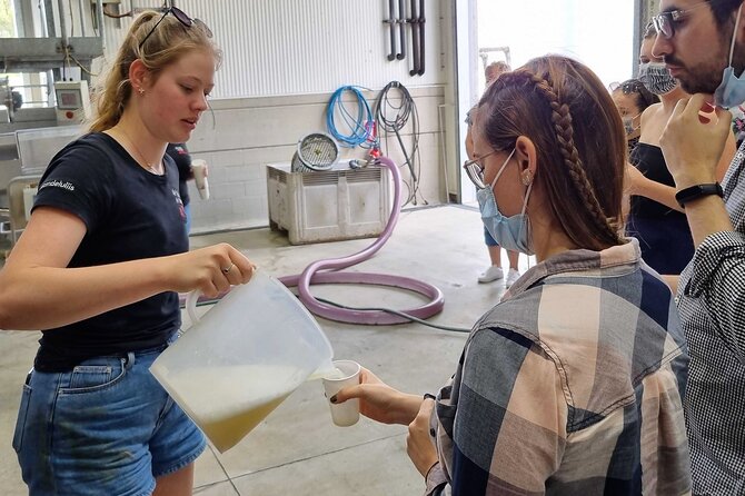 Small Group Hunter Valley Wine Tour w Lunch, Gin, Cheese & Choc - Small-group Hunter Valley: why this format works