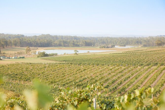 Small Group Hunter Valley Wine Tour w Lunch, Gin, Cheese & Choc - Lunch and pairings: not an afterthought