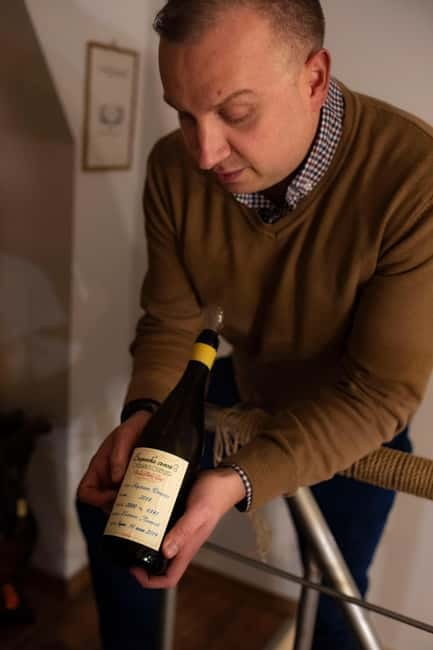 Sofia: Wine & Cheese Tasting Experience - Tempus Vini: Sofia’s small shop tasting that feels like a friend’s recommendation