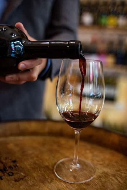 Sofia: Wine & Cheese Tasting Experience - The winemaking story: why 5,000 years still matters in your glass