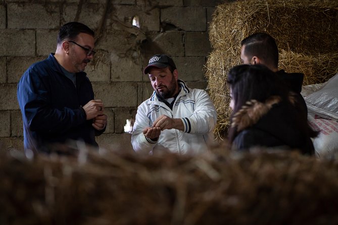 Sorrento Farm by Tuk Tuk: Cheese, Limoncello & Hands-On Pizza - The hands-on Neapolitan pizza class: dough, timing, and a wood-oven payoff